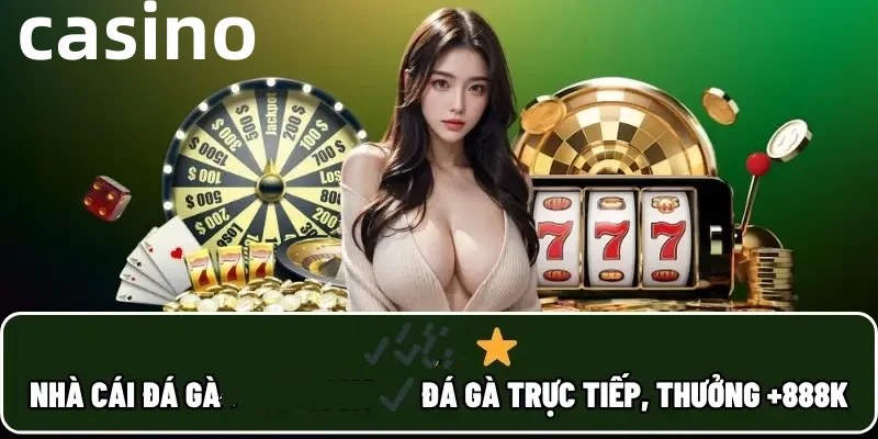tdtcs1