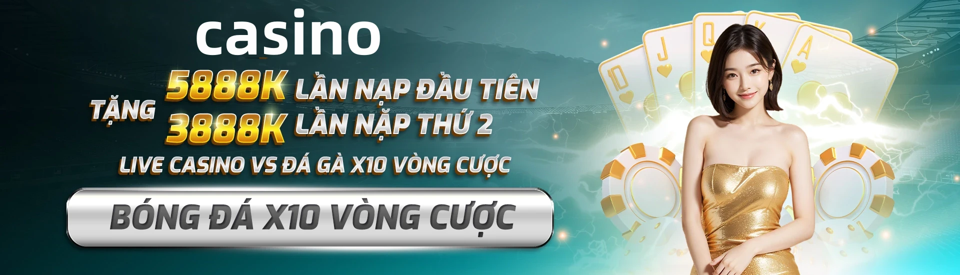 tdtcs1